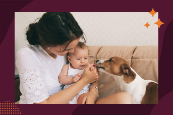 presentar-perro1.jpg